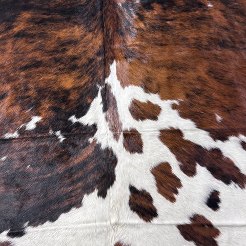 Tricolor Cowhide Rug Size: 8x7 feet D-766