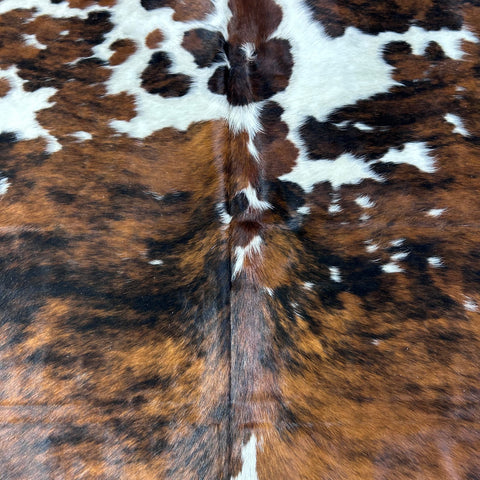 Tricolor Cowhide Rug Size: 8x7 feet D-766