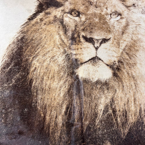 Lion Print Cowhide Rug Size: 7.5x6.5 feet D-768