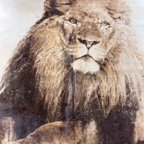 Lion Print Cowhide Rug Size: 7.5x6.5 feet D-768