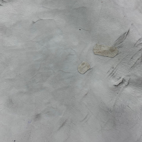 White Blesbok Skin - Deer Leather Rug Deer skin for wallets, hand bags, deer floor rug - Blesbok Hide White Blesbok Antelope Skin