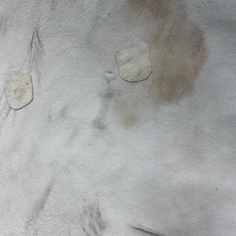 White Blesbok Skin - Deer Leather Rug Deer skin for wallets, hand bags, deer floor rug - Blesbok Hide White Blesbok Antelope Skin