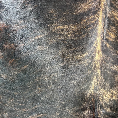 Dark Brindle with Light Dorsal Line Cowhide Rug Size: 7.7x6 feet L-002