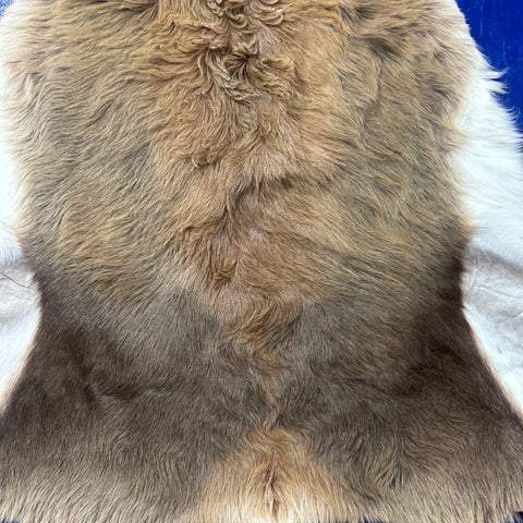 Juvenile Blesbok Skin - Deer Leather Rug Deer skin for pillows, wallets, hand bags, deer floor rug - Blesbok Hide Young Blesbok Skin D-984