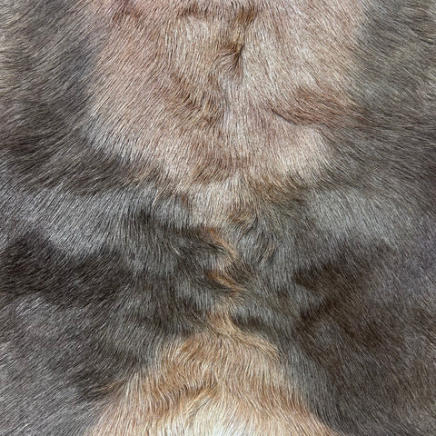 Juvenile Blesbok Skin - Deer Leather Rug Deer skin for wallets, hand bags, deer floor rug - Blesbok Hide Young Blesbok Skin D-985