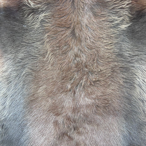 Juvenile Blesbok Skin - Deer Leather Rug Deer skin for wallets, hand bags, deer floor rug - Blesbok Hide Young Blesbok Skin D-985