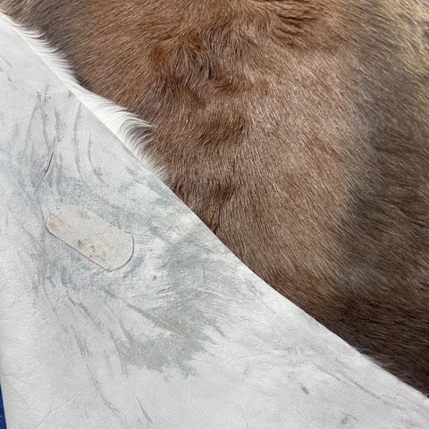 Juvenile Blesbok Skin - Deer Leather Rug Deer skin for wallets, hand bags, deer floor rug - Blesbok Hide Young Blesbok Skin D-985