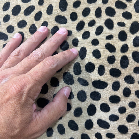 Huge Cheetah Print Cowhide Rug (heavy hide/ 1 hard to see stitch) Size: 7.7x6.2 feet Y-089