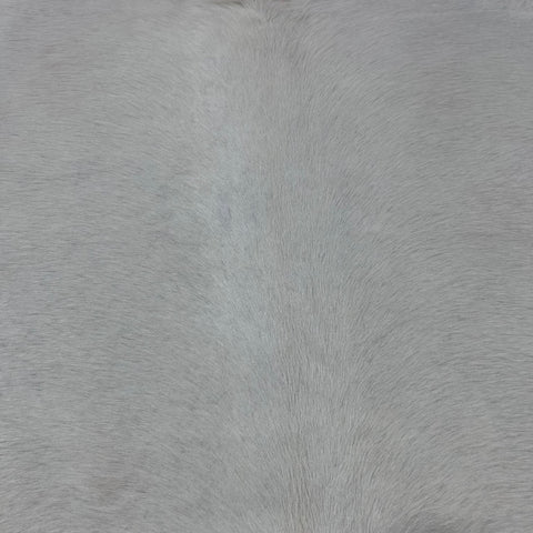Natural Solid Ivory Cowhide Rug (short hair) Size: 7.5x6.5 feet Y-091