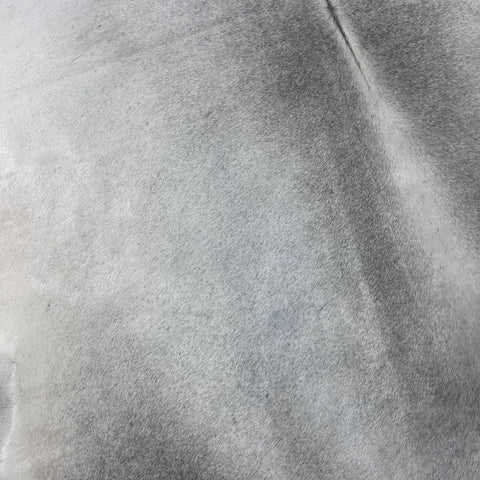 Solid Light Grey Cowhide Rug Size: 6.2x6.5 feet Y-093