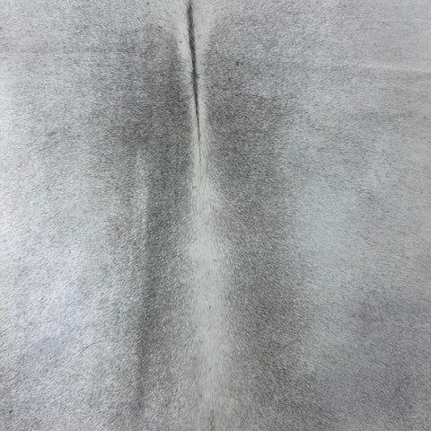 Solid Light Grey Cowhide Rug Size: 6.2x6.5 feet Y-093
