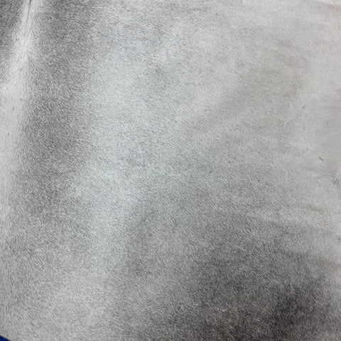 Solid Light Grey Cowhide Rug Size: 6.2x6.5 feet Y-093