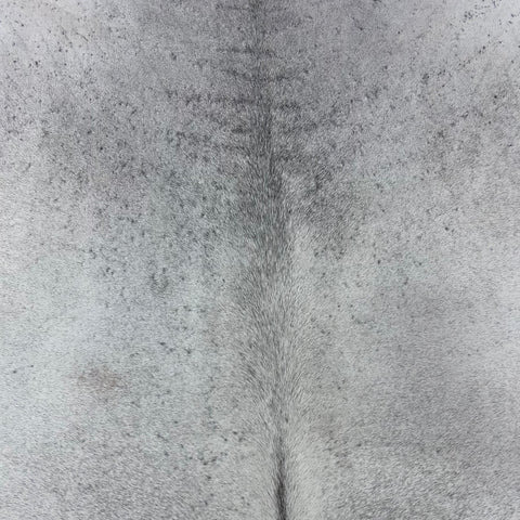 Solid Light Grey Cowhide Rug Size: 6.2x6.5 feet Y-093