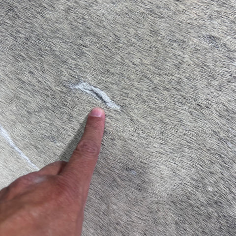 Solid Light Grey Cowhide Rug (some scars and some beige mixed in) Size: 7.2x7 feet Y-094