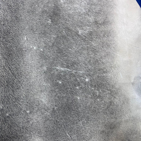 Solid Light Grey Cowhide Rug (some scars and some beige mixed in) Size: 7.2x7 feet Y-094