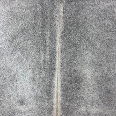 Solid Light Grey Cowhide Rug Size: 6.5x6 feet Y-095