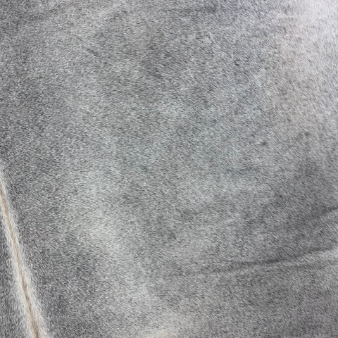 Solid Light Grey Cowhide Rug Size: 6.5x6 feet Y-095
