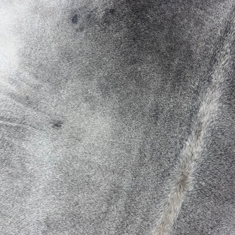 Solid Light Grey Cowhide Rug Size: 6.5x6 feet Y-095