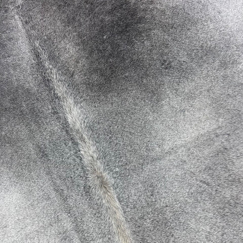 Solid Light Grey Cowhide Rug Size: 6.5x6 feet Y-095
