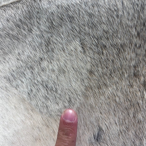 Solid Light Grey Cowhide Rug Size: 6.5x6 feet Y-095