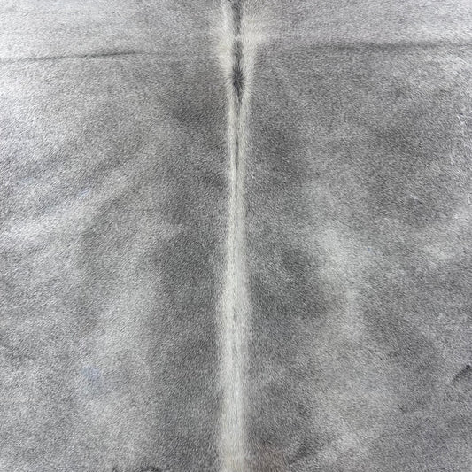 Solid Light Grey Cowhide Rug Size: 7x6.2 feet Y-096