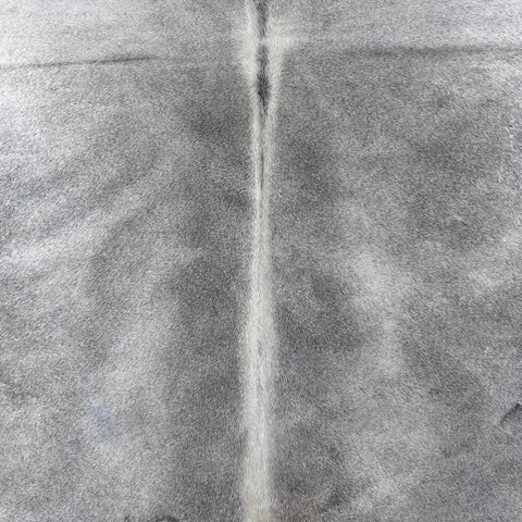 Solid Light Grey Cowhide Rug Size: 7x6.2 feet Y-096