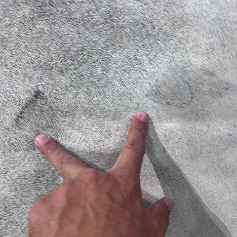 Solid Light Grey Cowhide Rug Size: 7x6.2 feet Y-096