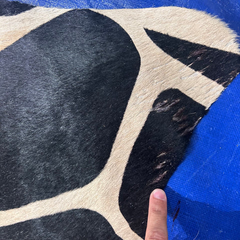 Big Giraffe Print Cowhide Rug Size: 7x6 feet Y-098