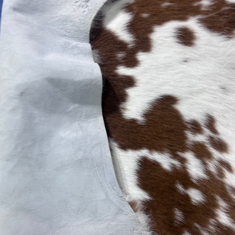 Brown and White Calf Skin (longish hair) Size: 45x40" X-001