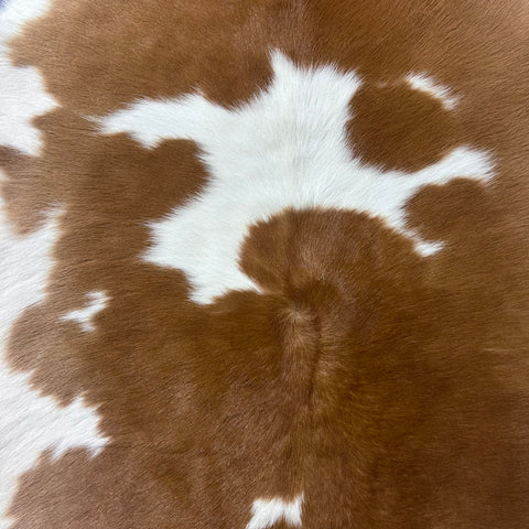 Light Brown and White Calf Skin (longish hair) Size: 39x35" X-002