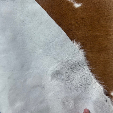 Light Brown and White Calf Skin (longish hair) Size: 39x35" X-002