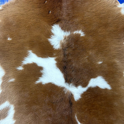 Brown and White Calf Skin (longish hair/ some bald spots) Size: 42x37" X-003