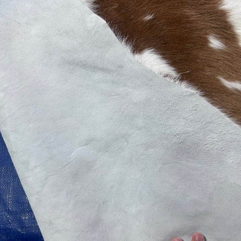 Brown and White Calf Skin (longish hair/ some bald spots) Size: 42x37" X-003
