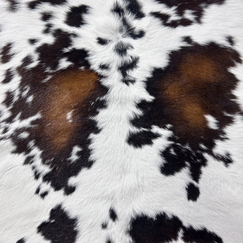 Tricolor Spotted Calf Skin Size: 41x37" X-005