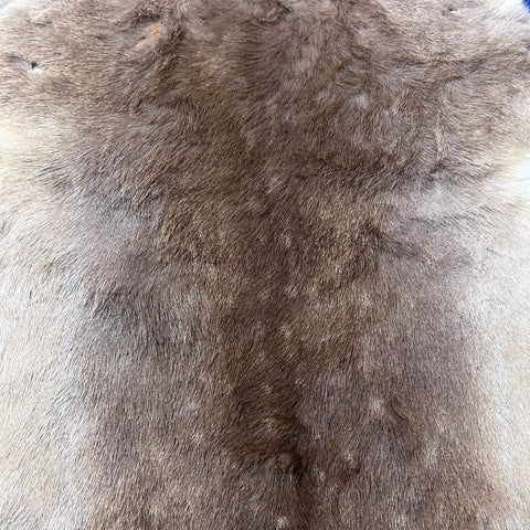 Fallow Deer Skin Size: 45x40" F-006