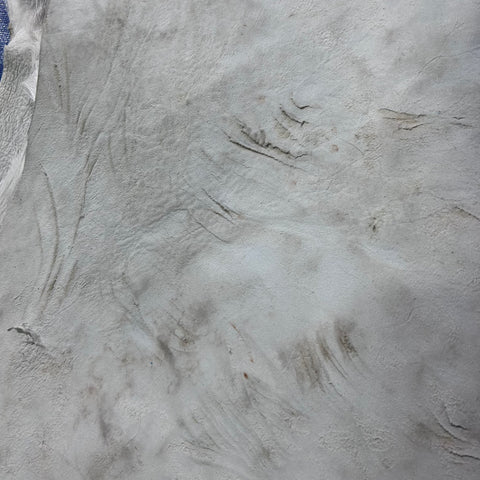Fallow Deer Skin Size: 45x40" F-006