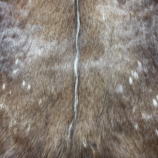 Bushbuck Skin Size: 45x35" F-007