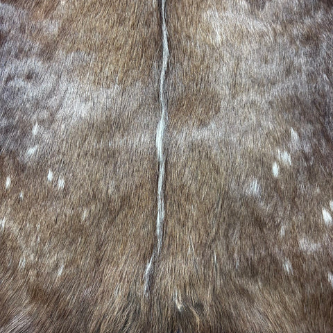 Bushbuck Skin Size: 45x35" F-007