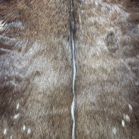 Bushbuck Skin Size: 45x35" F-007
