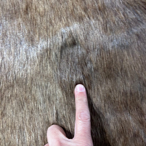 Bushbuck Skin Size: 45x35" F-007