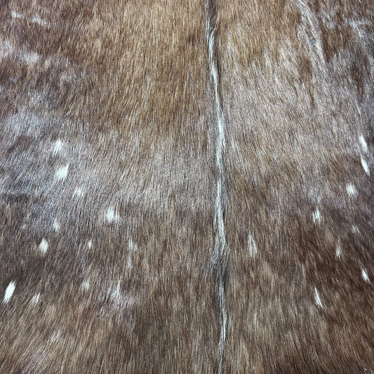 Bushbuck Skin Size: 43x39" F-008