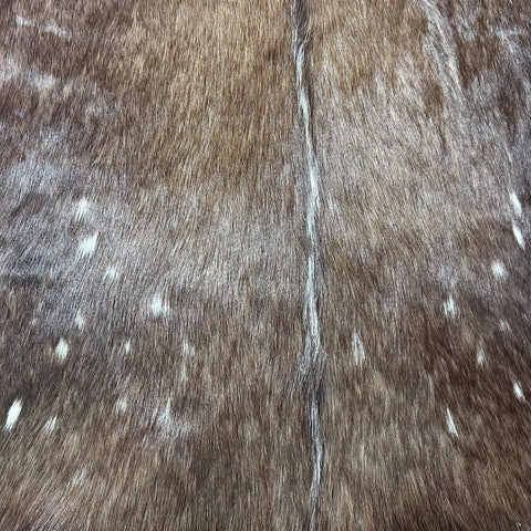 Bushbuck Skin Size: 43x39" F-008