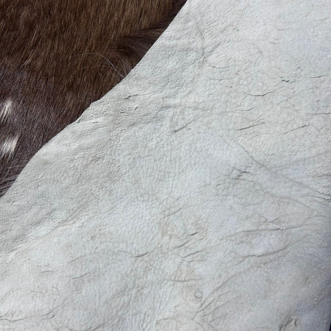 Bushbuck Skin Size: 43x39" F-008