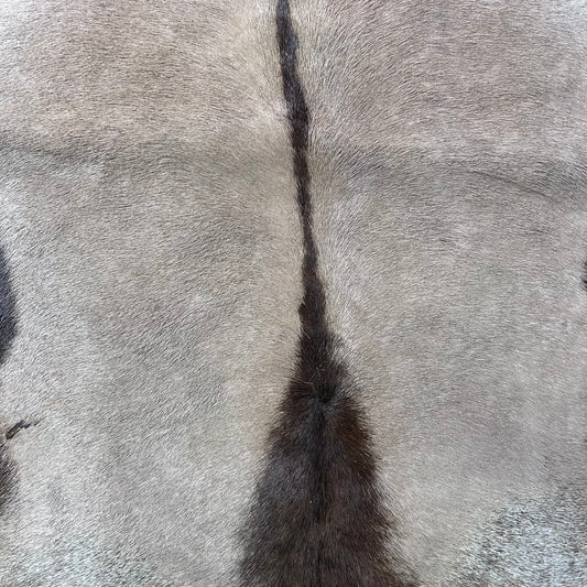 Gemsbok Skin (Tail is 18"/Tail is glued on) Size: 59x48" F-009