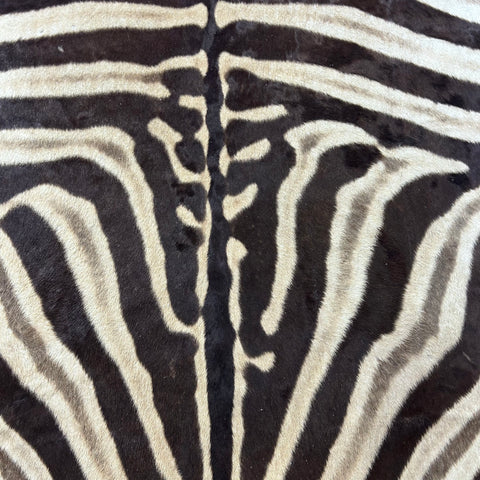 Real Zebra Skin Rug Hide # 52 HUGE Size: 9X7 feet Genuine Burchells Zebra Hide