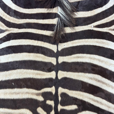 Real Zebra Skin Rug Hide # 52 HUGE Size: 9X7 feet Genuine Burchells Zebra Hide