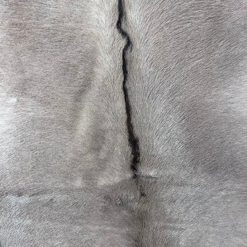 Gemsbok Skin (Tail is 17") Size: 52x40" F-010