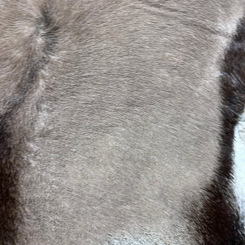 Gemsbok Skin (Tail is 17") Size: 52x40" F-010