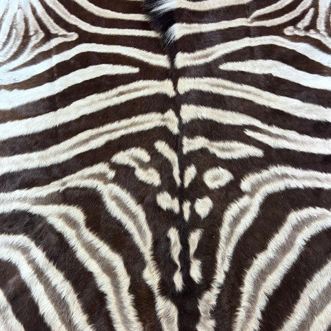 Real Zebra Skin Rug Hide # 53 Size: 6X5.5 feet Genuine Burchells Zebra Hide