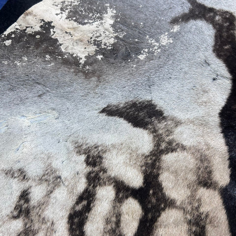 Real Zebra Skin Rug # 81 (Felted/Tail is 28") Size: 9x6 feet Genuine Burchells